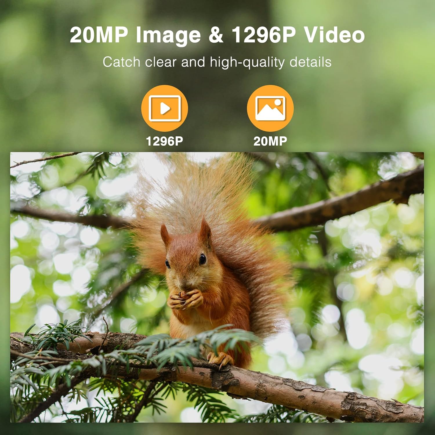 20MP 1296P 2.4" LCD Game Camera with No Glow Infrared Night Vision B446