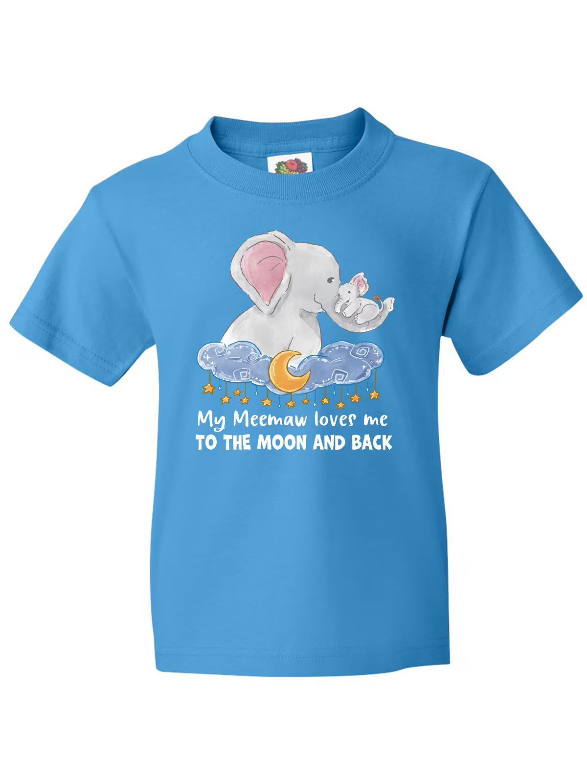 Youth T-Shirt L648