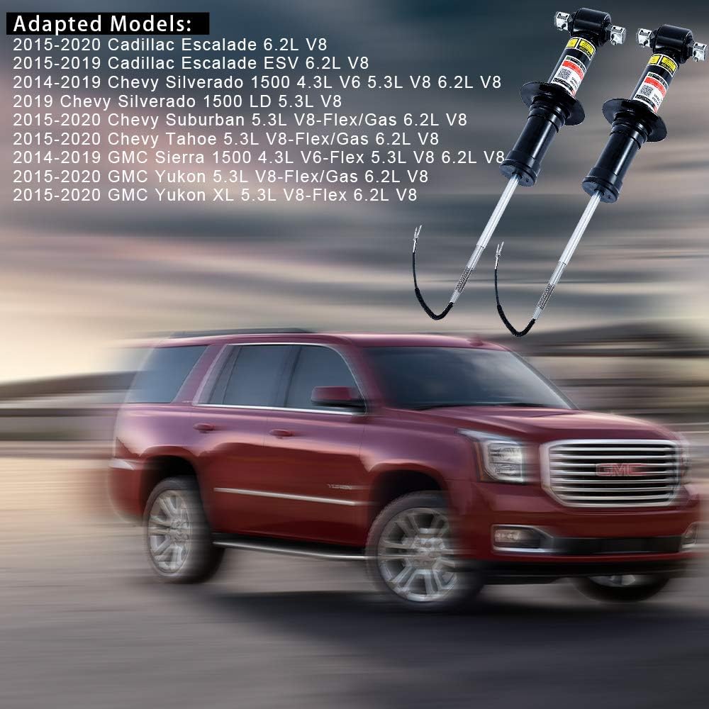 Front Suspension Shock Struts Absorbers w/Magneride R196