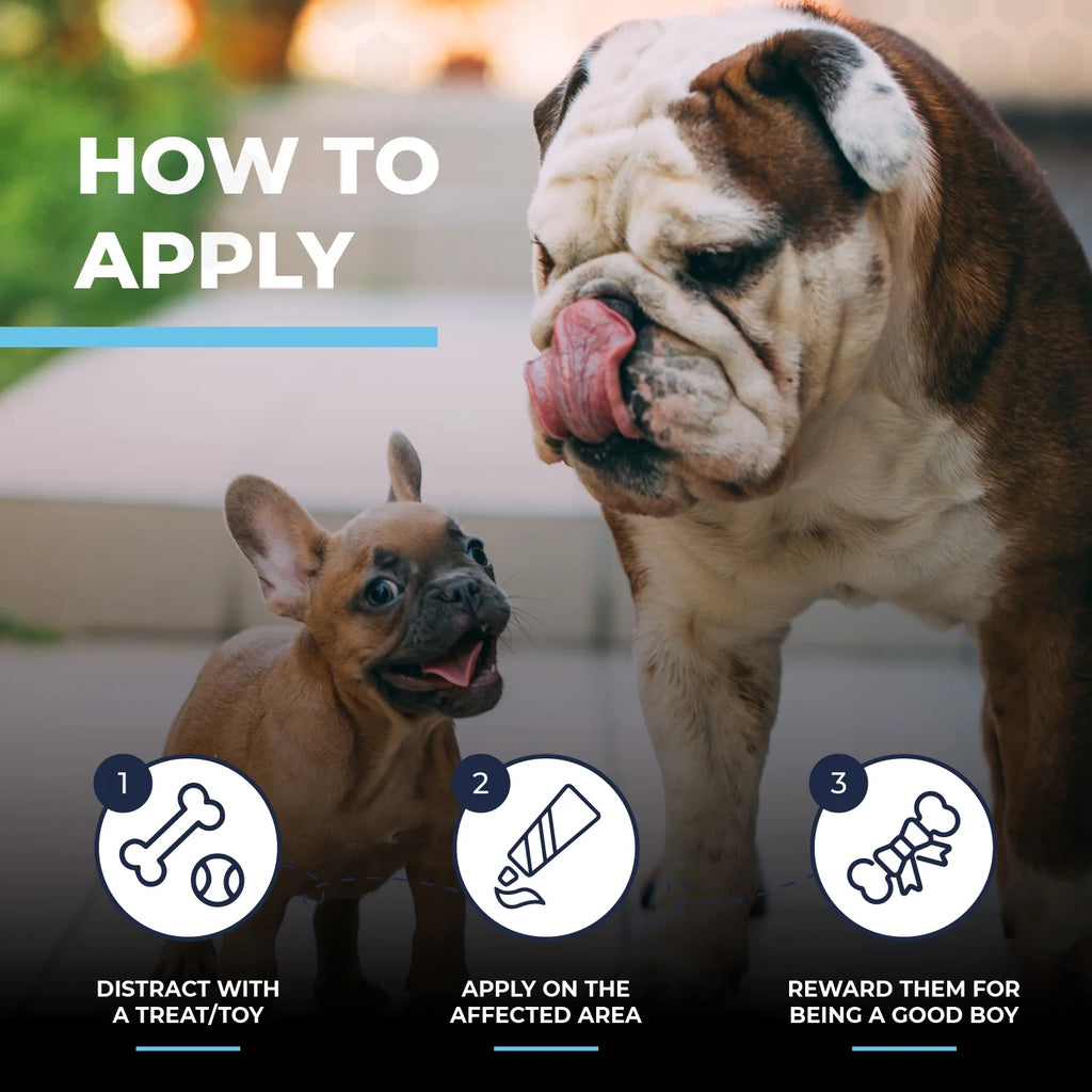 2 Oz Wrinkle Cream and 50 Wrinkle Wipes for Bulldogs F950