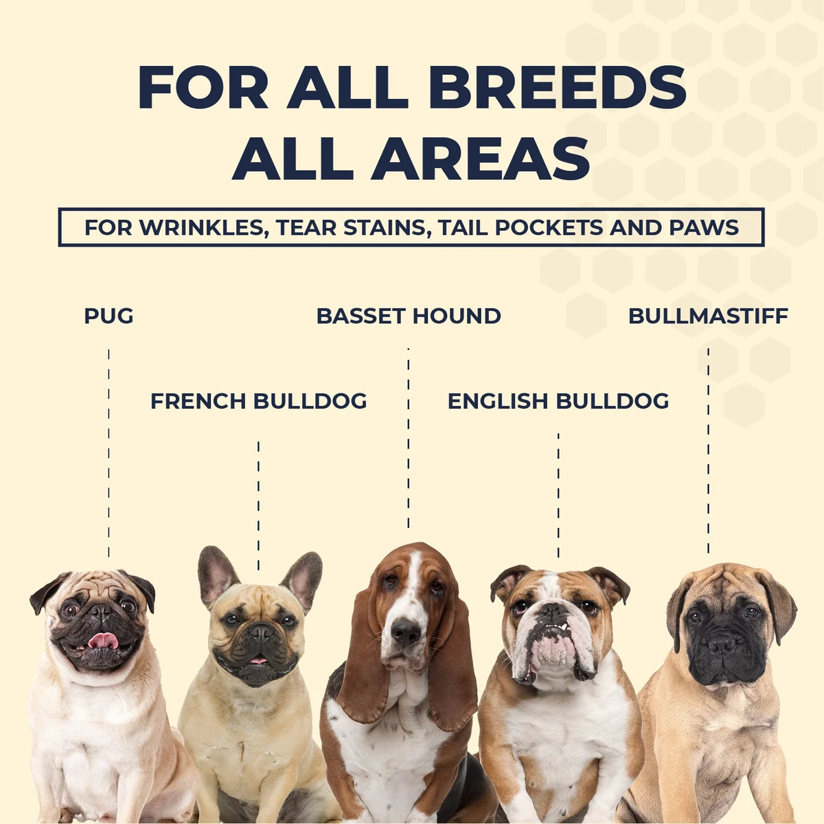2 Oz Wrinkle Cream and 50 Wrinkle Wipes for Bulldogs F950
