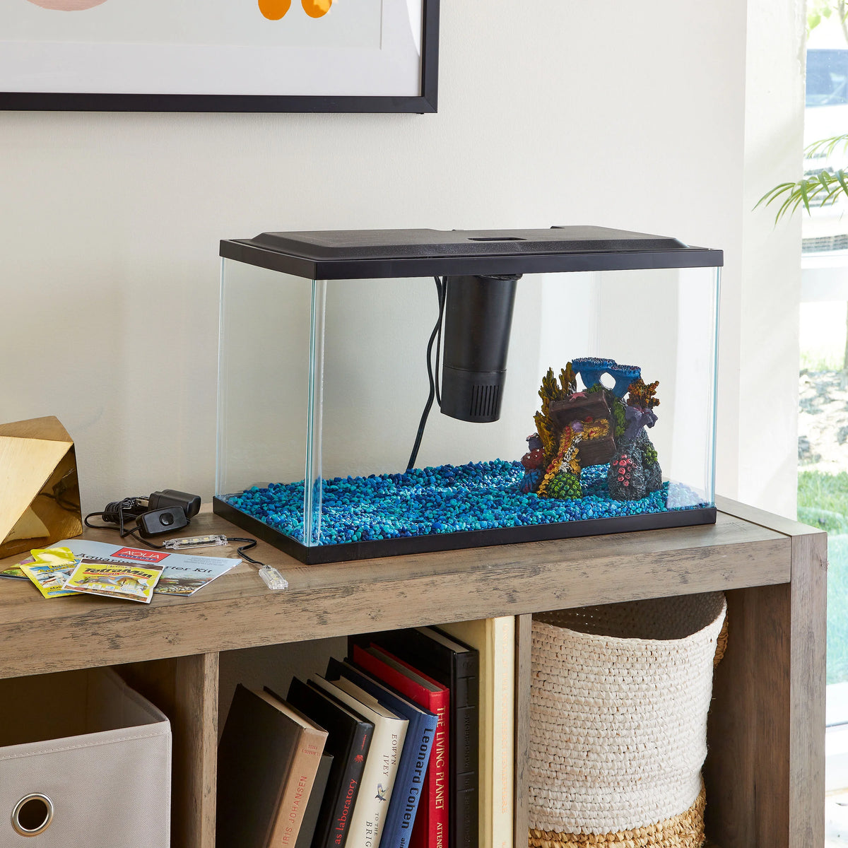 10-Gallon Glass Aquarium Starter Kit F780162