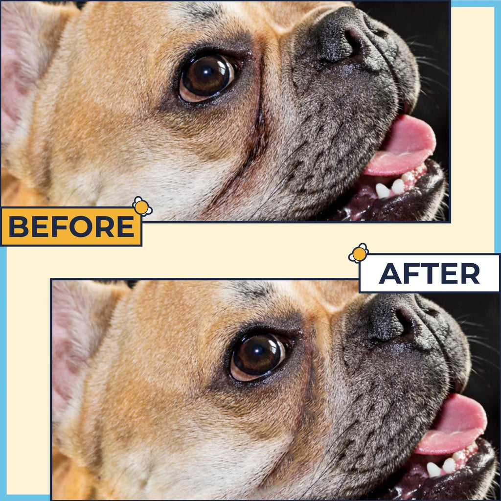 2 Oz Wrinkle Cream and 50 Wrinkle Wipes for Bulldogs F950