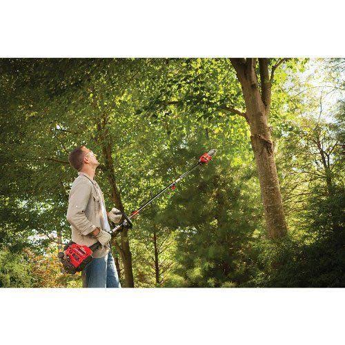 8-Inch Pole Saw with Bar and Chain R595149