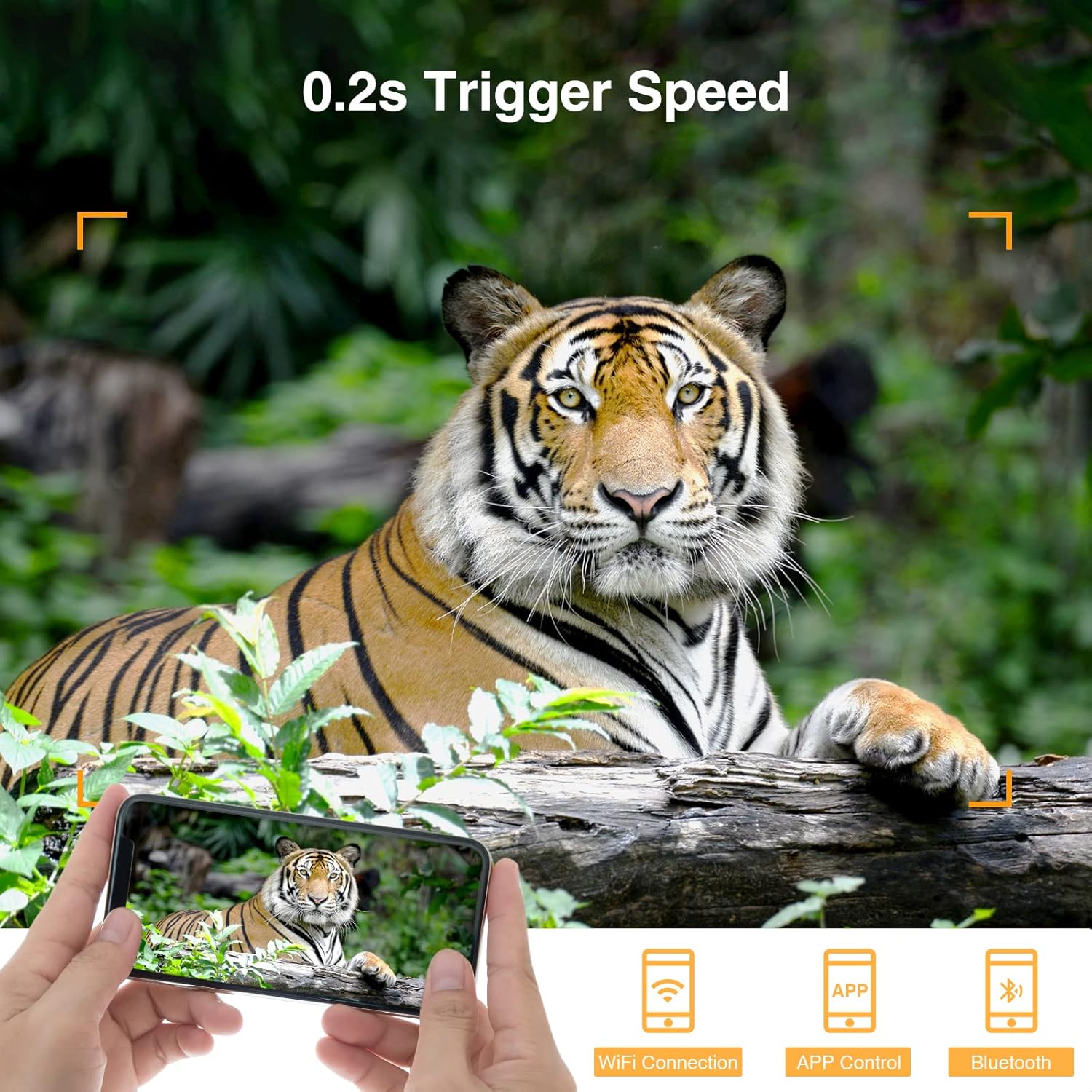 20MP 1296P 2.4" LCD Game Camera with No Glow Infrared Night Vision B446