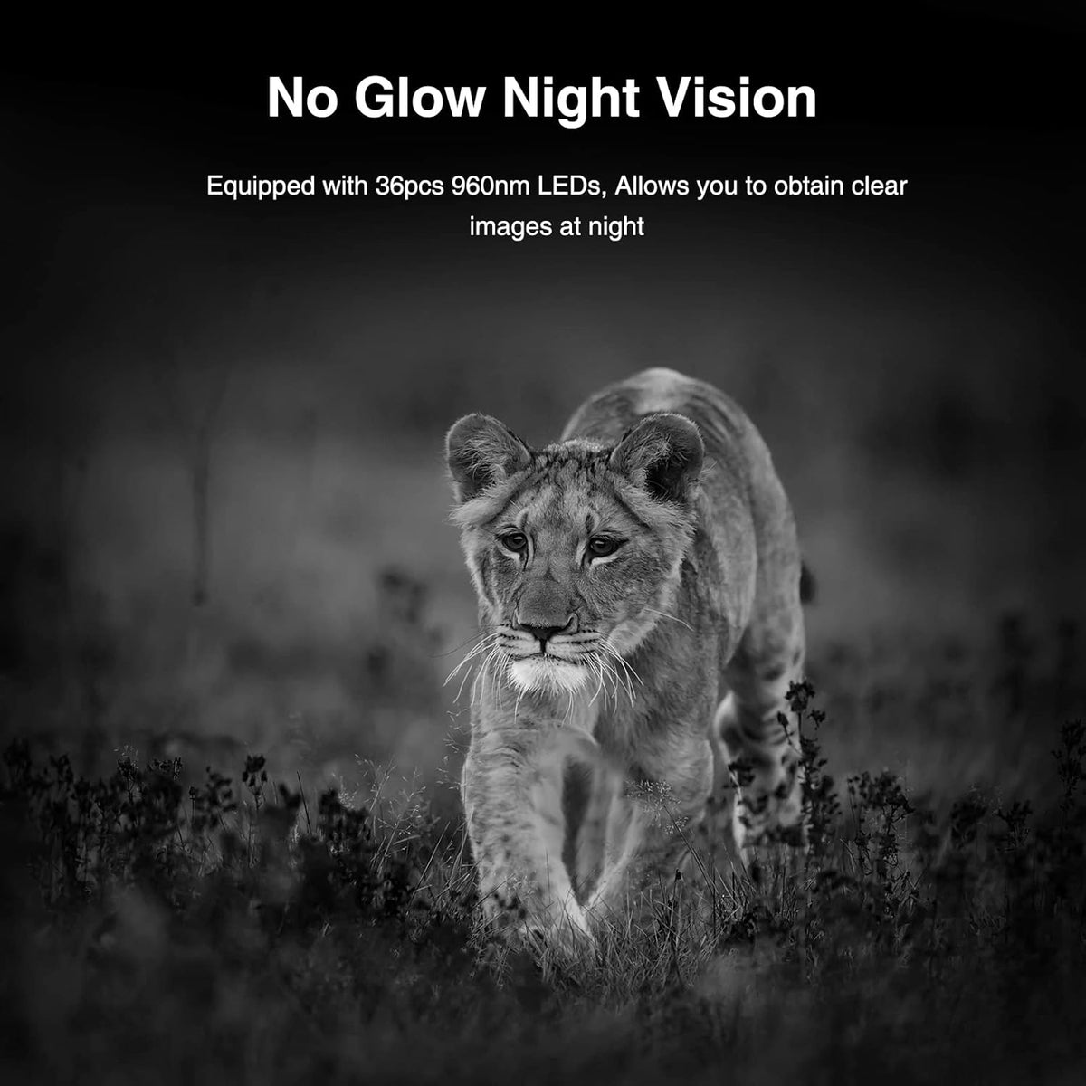 20MP 1296P 2.4" LCD Game Camera with No Glow Infrared Night Vision B446