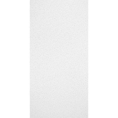 2 x 4 Ceiling Panel, Carton of 8 J1533