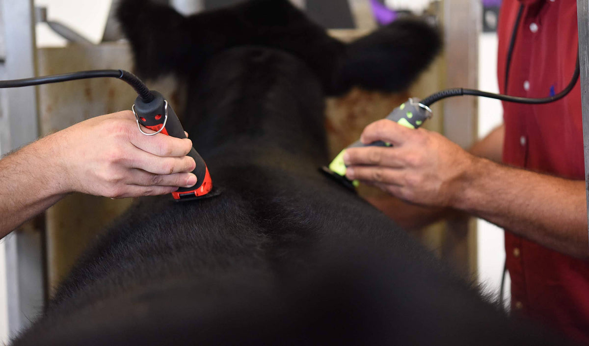 Red High Speed Cattle Fitting Clipper Y625313