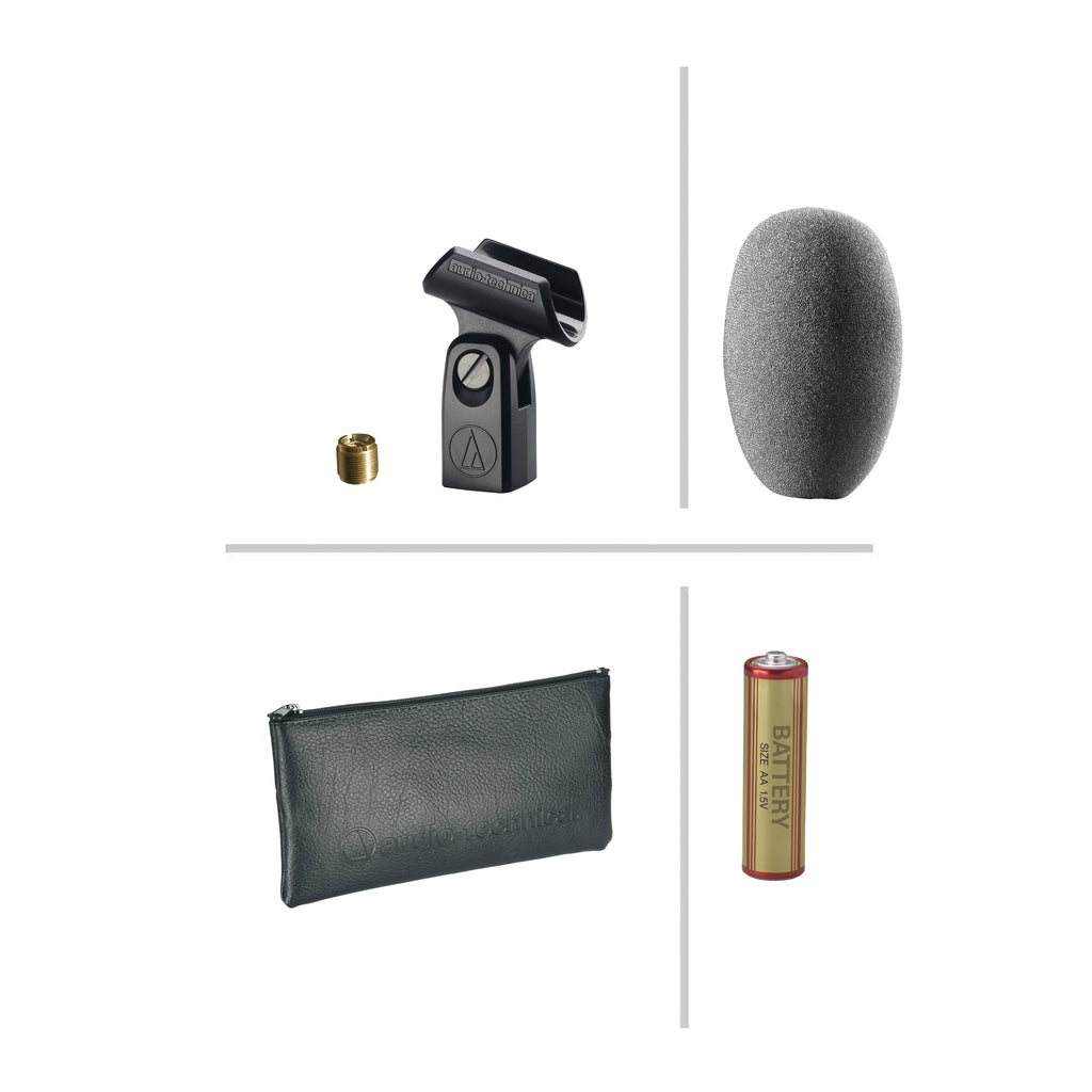 Omni Condenser Microphone P747