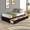Brown Cherry Twin Platform Bed with 3 Drawers Y926