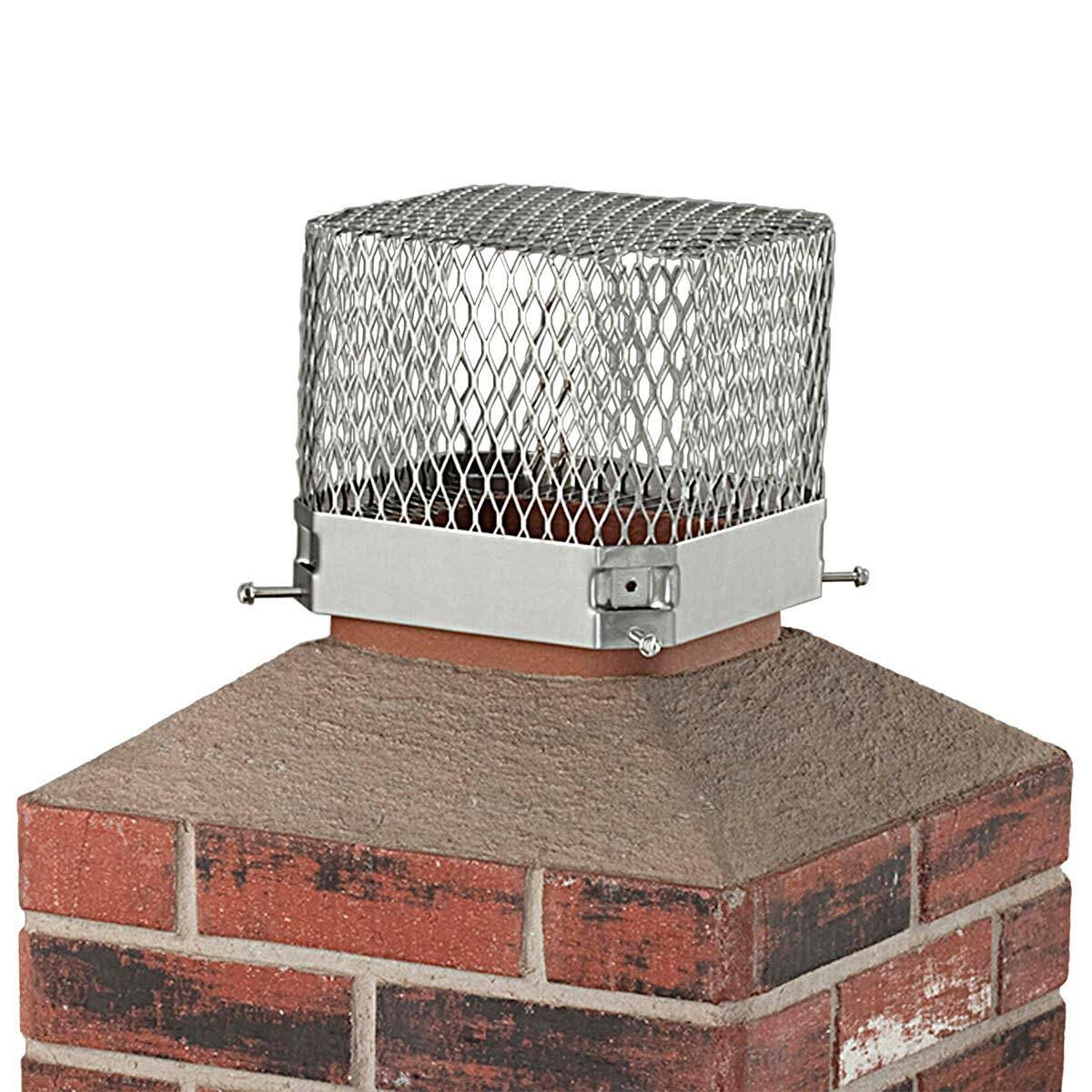 Stainless Steel Raccoon Screen T987213