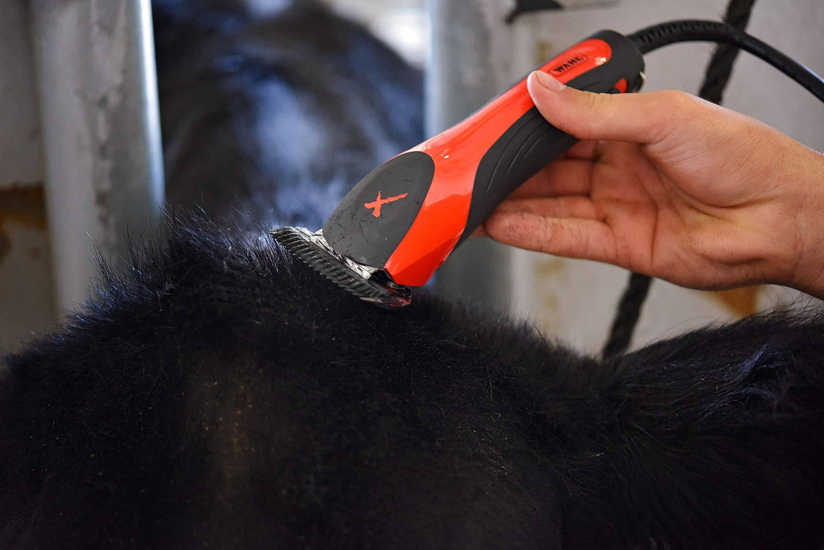 Red High Speed Cattle Fitting Clipper Y625313